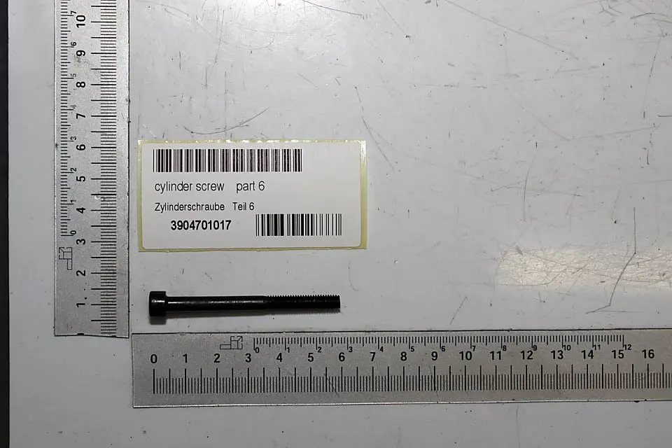 SCHEPPACH - Vis Cylindrique M5 X 55 Pour Outils De Jardin, Dégauchisseuses, Taille-haies Et Tarières Scheppach - Woodster - Parkside